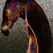 Horseheadsmall_card