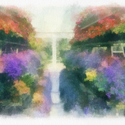 Saturday_card