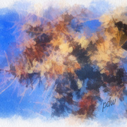 Branches_card