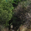 _____________________22-8-2011_044_thumb