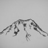 Mt