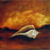 Shell_i_thumb