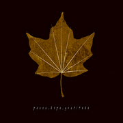 Thanksgiving_card