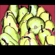 Pears_in_seattle_card