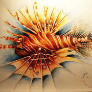 Ritratto_piccolo_pesce_4_card