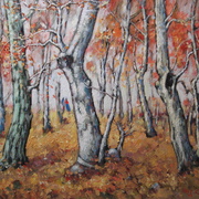 Picture_497_card