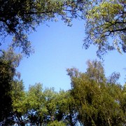 Sky_card