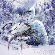 Tamara_agapova3_card