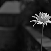 Dsc_0059_card