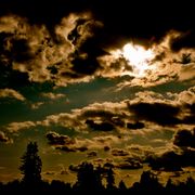 Dsc_0674_card
