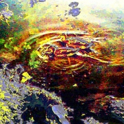 Photo-0001_card