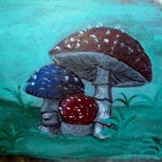Shrooms_card