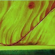 Benium_80x60_ost_inset_card