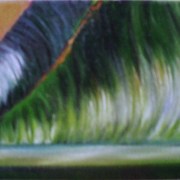 Peg_12_inset_card