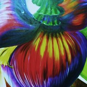 Cora__o_de_bananeira_inset_card