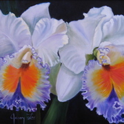 Img_1071_card