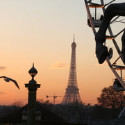 Img_9658_card