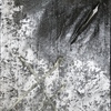 Silver_crack_thumb