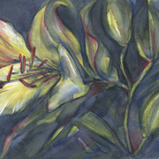 Aquarell_lilie_2_card