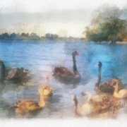 Img_1492_card