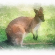 Img_1505_card