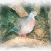 Img_1473_card