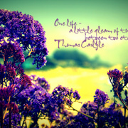 Scb_card
