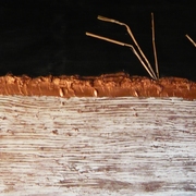 Irreale_card