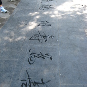 Img_7911_card