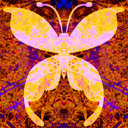 Butterflywingstoosmall_card