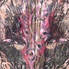 Dscf6139_thumb