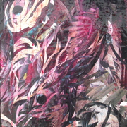 Dscf6141_card