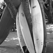Img_2801_1_card