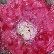 Hpim0474_card