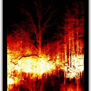 Untitled-14_card
