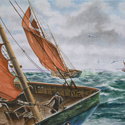 Big_sloop_net_card