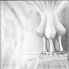 003_thumb