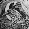 1_raven_thumb