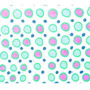 Ameoba_texture_4_card