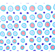 Ameoba_texture_5_card