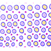 Ameoba_texture_6_thumb