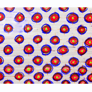 Anemone_2_card