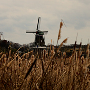 191111411z_card