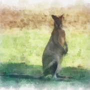 Don_t_stare_card