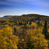 D32_0642_thumb