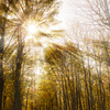 D32_0653_thumb