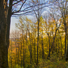 D32_0655_thumb