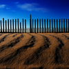 D32_0720_thumb