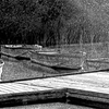 Rowboatsredo2_thumb