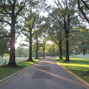 Img_0162_card